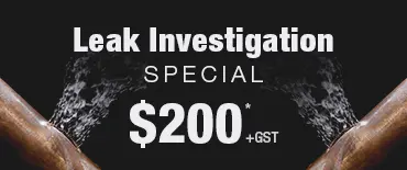 Leak Investigation Discount Māngere Bridge